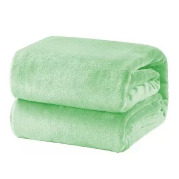 FRAZADA FLANNEL 2° SELEC 2 1/2 B24