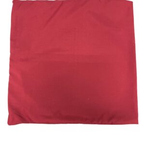 FDA ALMOHADON 40X40 LISO B24