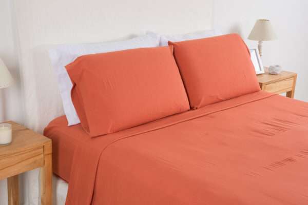 JGO DE SABANA DECO 600H 2.5pl B24 - Imagen 6